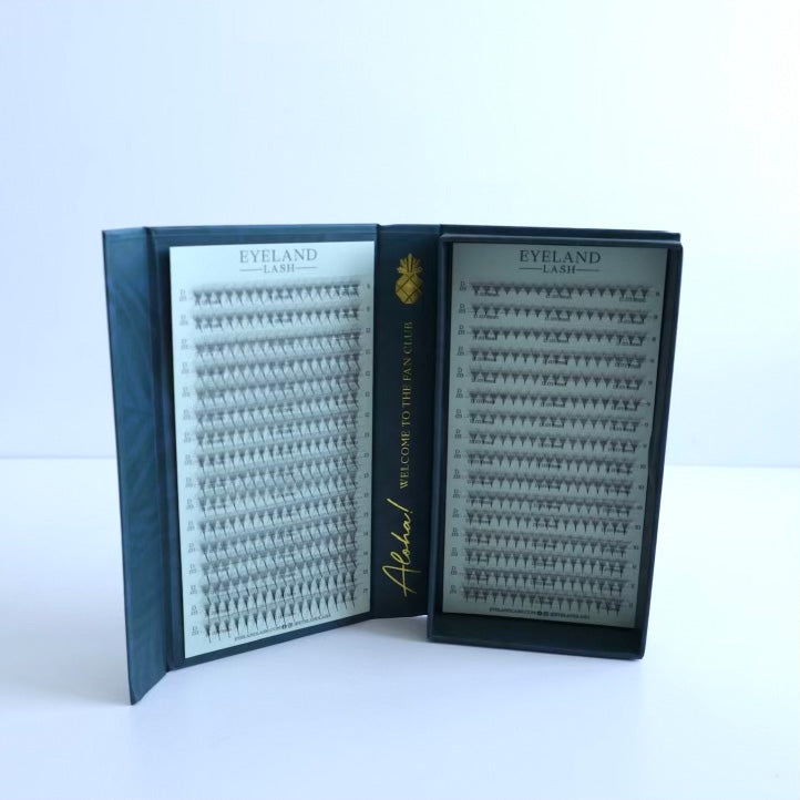 PROmade Fans 5D Narrow Mixed Lengths - Eyeland Lash