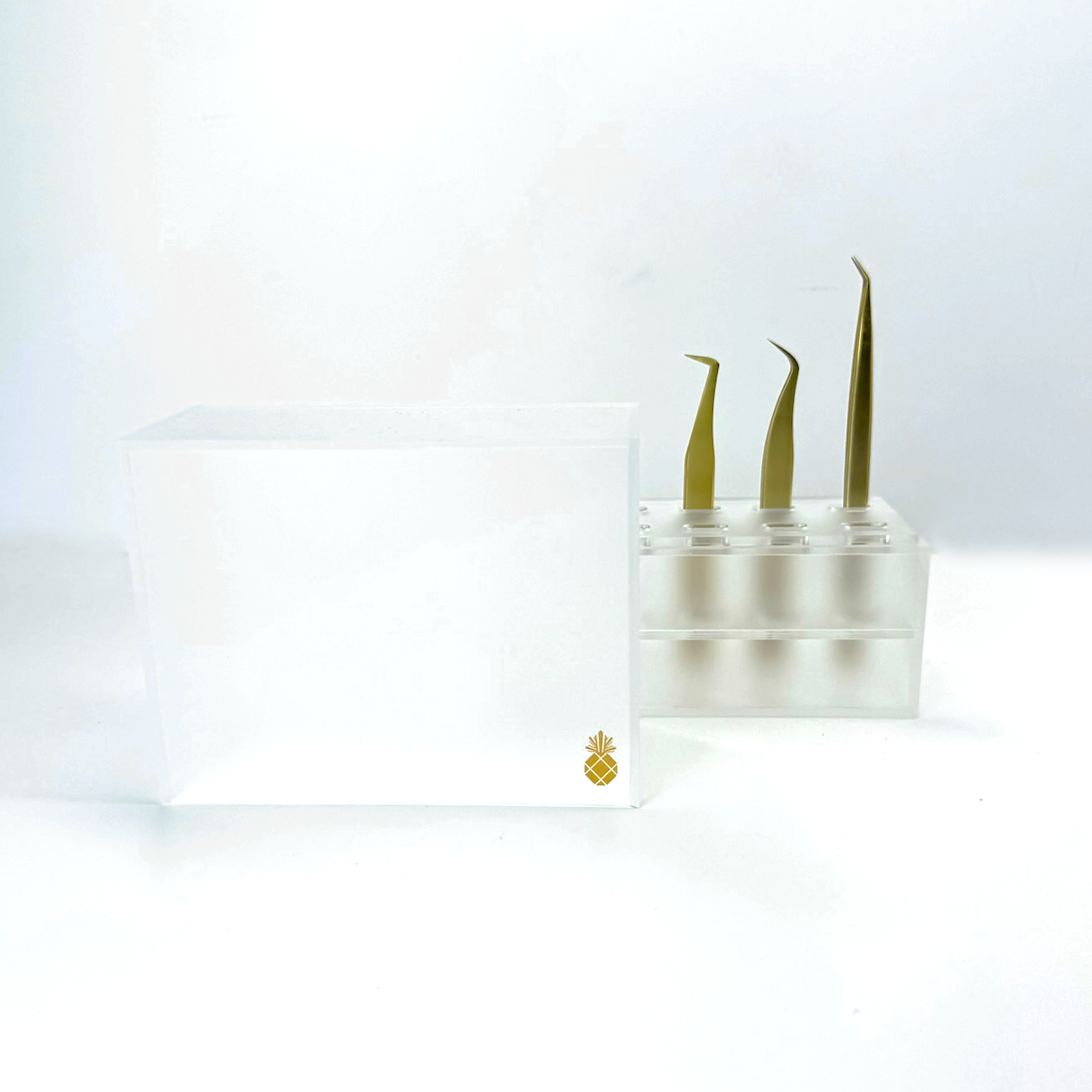 Tweezer Mini Storage - Matte Clear (10 slots) - Eyeland Lash