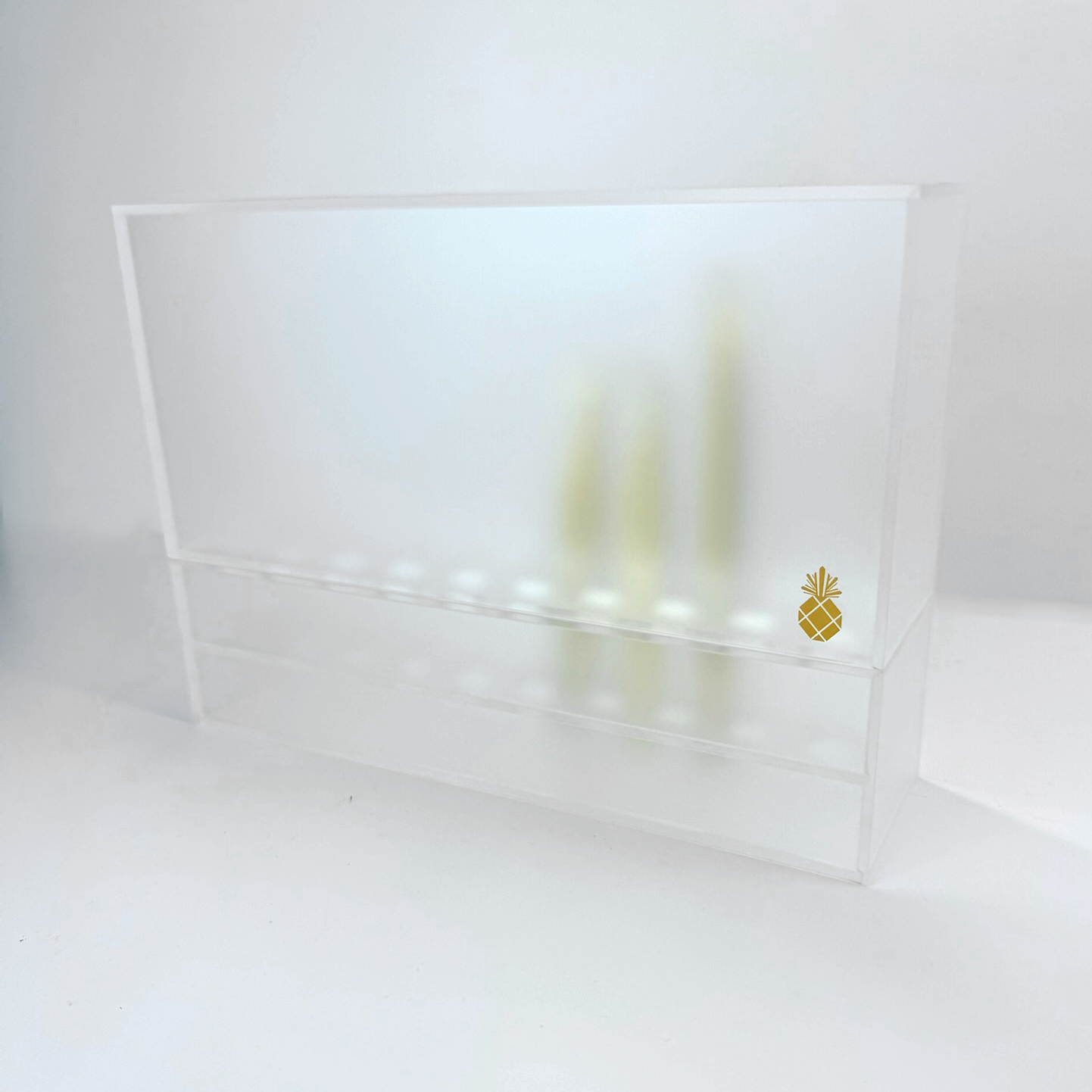 Tweezer Storage - Matte Clear (holds 20) - Eyeland Lash