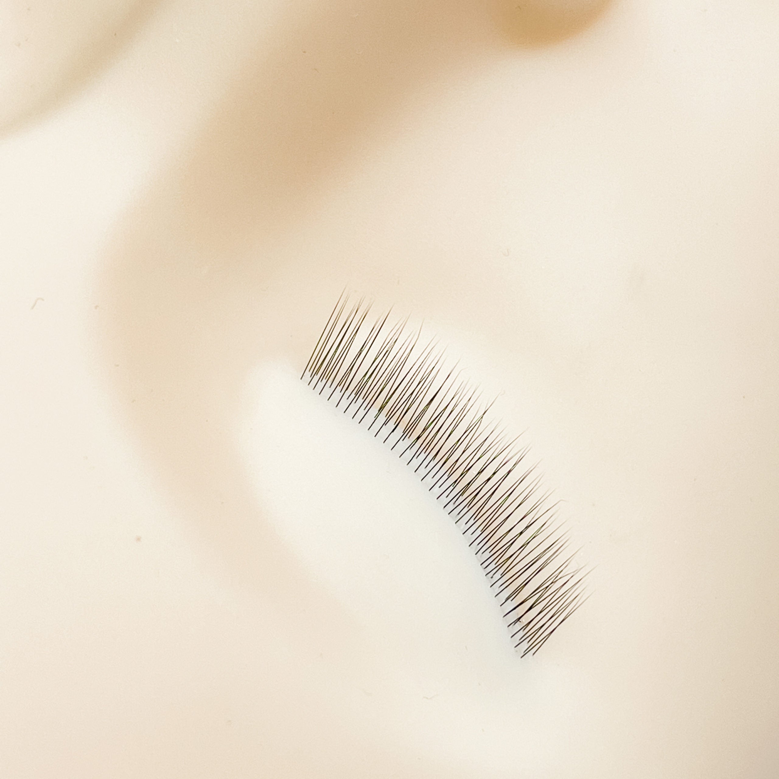 Mannequin with Lash Layers - Eyeland Lash